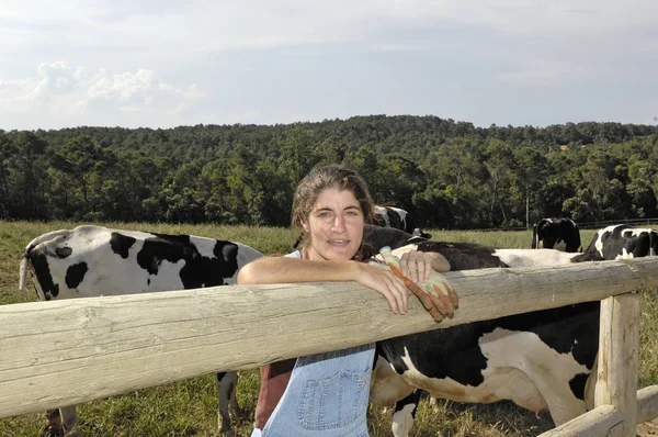 Portrait d'une fermière avec ses vaches dans le champ — Photo