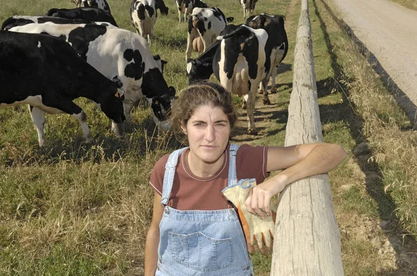 A mezőgazdasági termelő a neki tehenek területén portréja — Stock Fotó