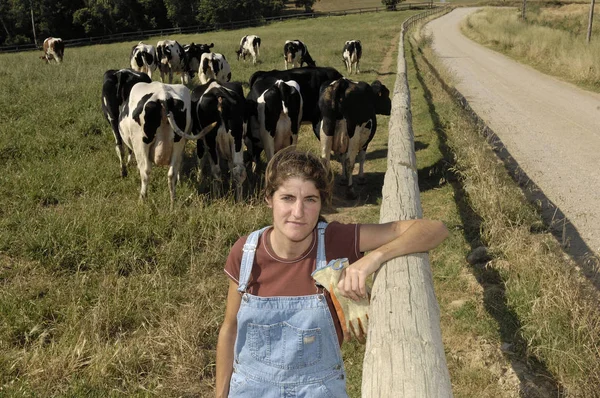 A mezőgazdasági termelő a neki tehenek területén portréja — Stock Fotó