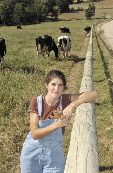 Portrait of a farmer with her cows in the field — Stock Photo, Image