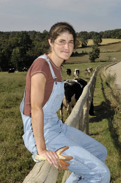 Agriculteur assis sur une clôture et derrière son troupeau de vaches — Photo