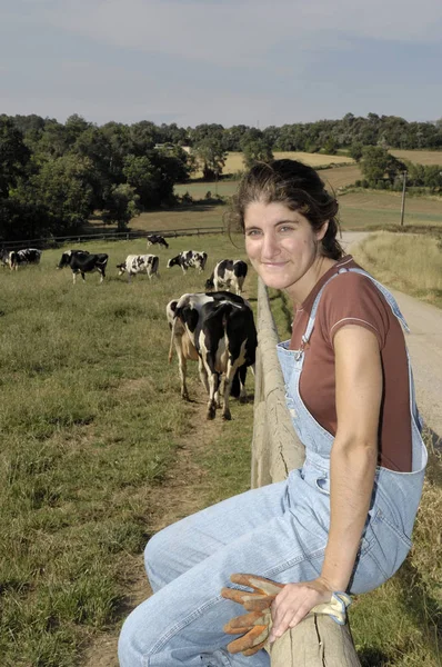 Agriculteur assis sur une clôture et derrière son troupeau de vaches — Photo