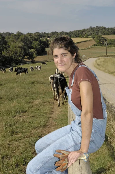 Granjero sentado en una valla y detrás de su manada de vacas — Foto de Stock