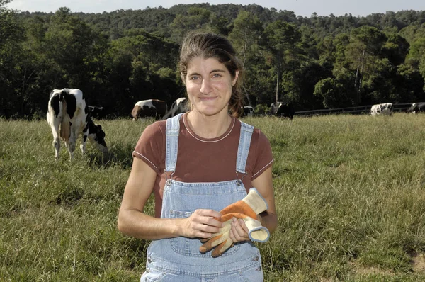 Portrait d'une agricultrice avec quelques vaches — Photo