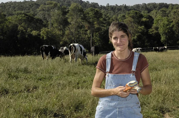 Portréja egy nő mezőgazdasági néhány tehén — Stock Fotó