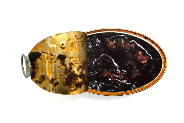 Кальмар з чорнилом ізольований — стокове фото