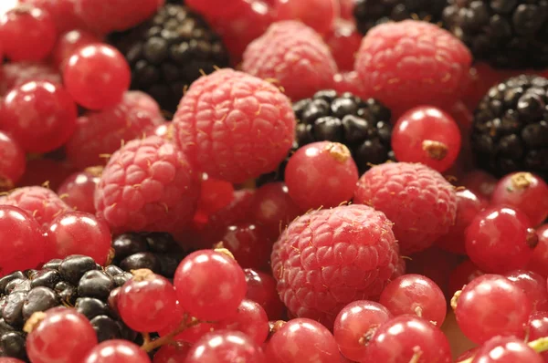 Detail of a group of red berries — Stock Photo, Image