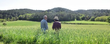 bir buğday alanında çift çiftçi