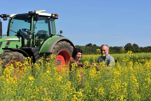 Coppia di contadini in un campo di colza con un trattore — Foto Stock