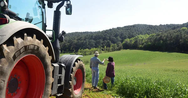 Paar van boeren op zoek naar een veld — Stockfoto