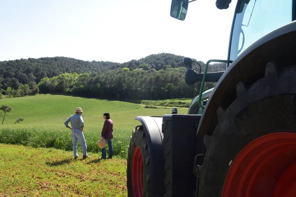 Un par de granjeros mirando un campo — Foto de Stock