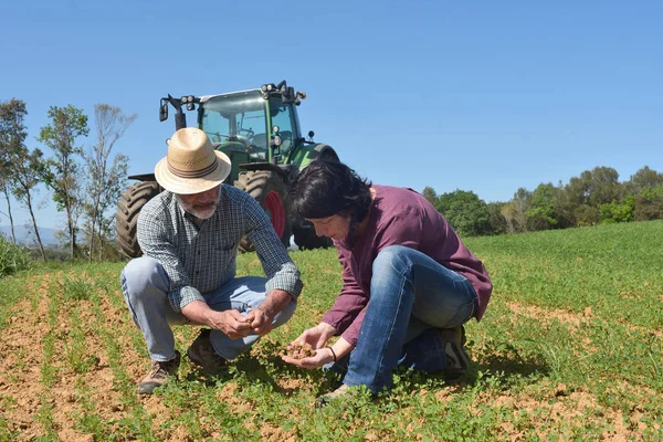 Um par de agricultores a inspeccionar a terra — Fotografia de Stock