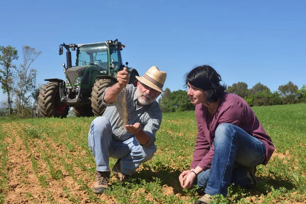 Um par de agricultores a inspeccionar a terra — Fotografia de Stock