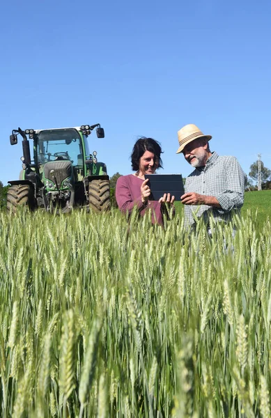 Câțiva fermieri într-un domeniu cu o tabletă digitală — Fotografie, imagine de stoc
