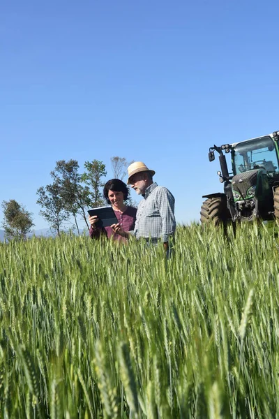 Casal de agricultores em um campo com um tablet digital — Fotografia de Stock