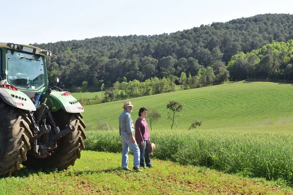 Un paio di contadini che guardano un campo — Foto Stock