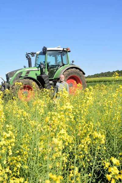 Landbouwer Een Canola Veld Met Een Trekker — Stockfoto