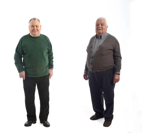 Портрет літніх чоловіків спереду і профіль на білому — стокове фото