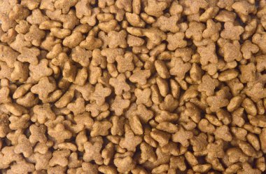 köpek besleme closeup