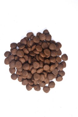 köpek besleme closeup