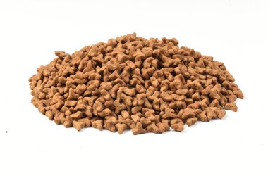 beslemek-in kedi closeup