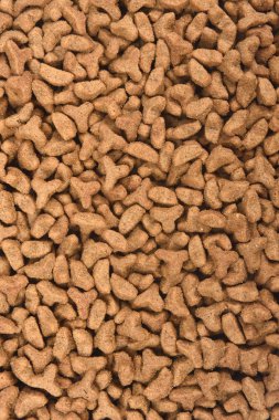 beslemek-in kedi closeup