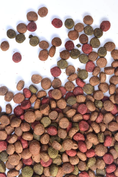 Close-up de alimentos para cães — Fotografia de Stock