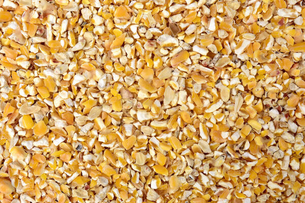 кукурузная еда для кур
