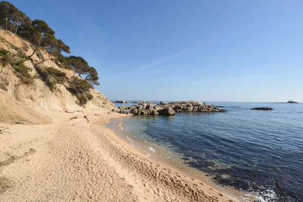 Strand Van Cala Bona Palamos Costa Brava Provincie Girona Catalonië — Stockfoto