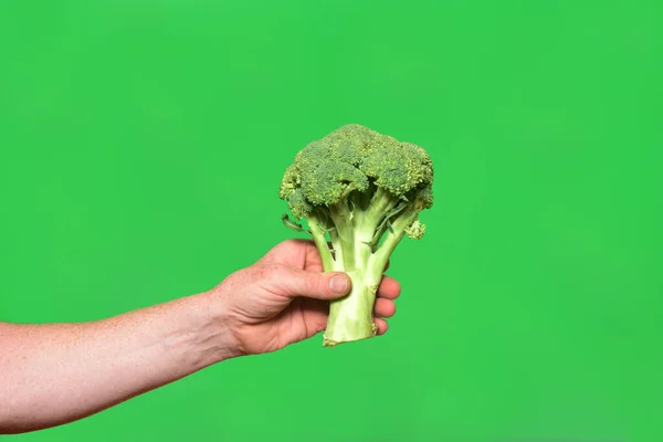 Hand Holding Broccoli Green Background — Stock Photo, Image