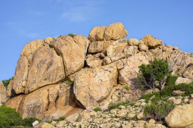 09 Ekim 2016 - Rai, Vinh Hy, Ninh Thuan asmak