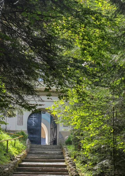 the road to the monastery in the forest. Stairs, gates, trees in sunlight. Forgotten church in the woods near the road.