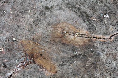 Doğal ahşap tuval arka plan.