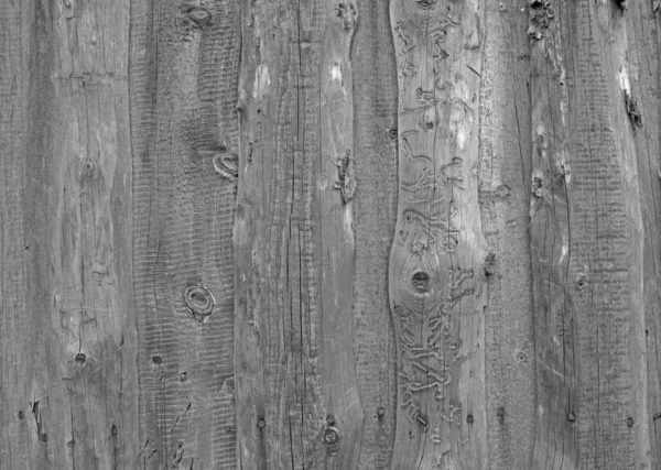 Background. Natural wood. Black and white photo. — Stock Photo, Image