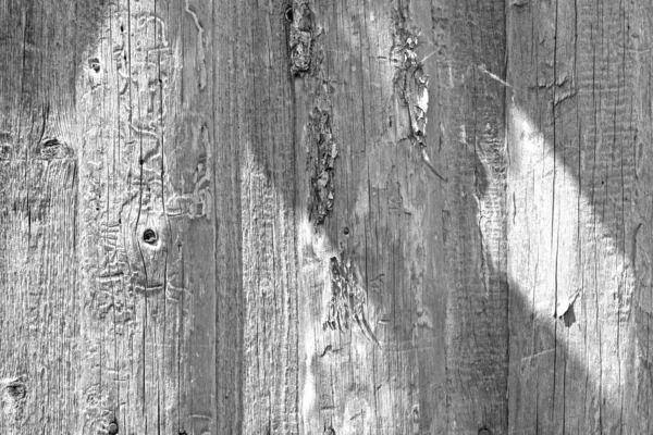 Bakgrund. Naturligt trä. Svart och vitt foto. — Stockfoto