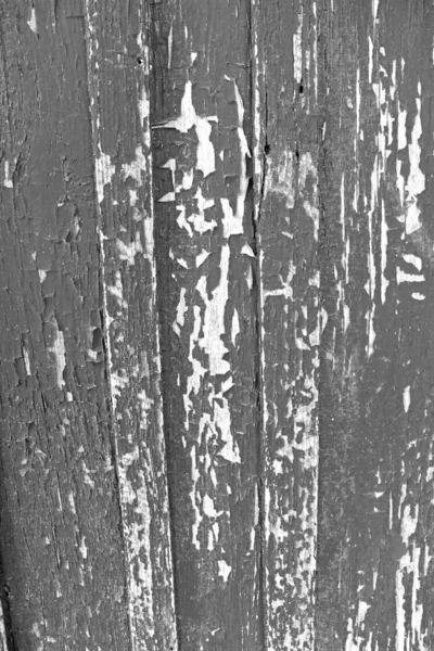 Background. Natural wood. Black and white photo. — Stock Photo, Image