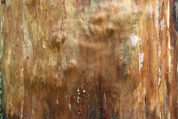 Fond de toile naturelle en bois . — Photo