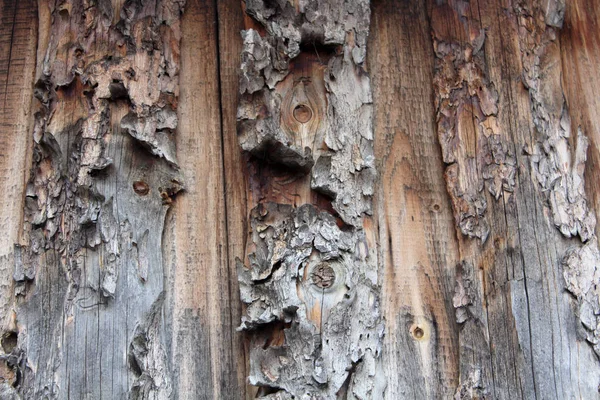 Fond de toile naturelle en bois . — Photo