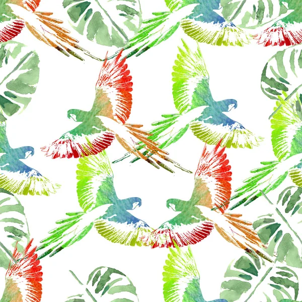 Akwarela bezszwowe wzór. Tropikalny tło. Papugi, palm — Zdjęcie stockowe