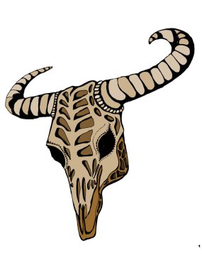 Bizon kafatası. El vektör çizim çekilmiş. Yerel Tema.