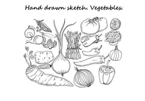 Hand Drawn Sketch. Vegetables set.