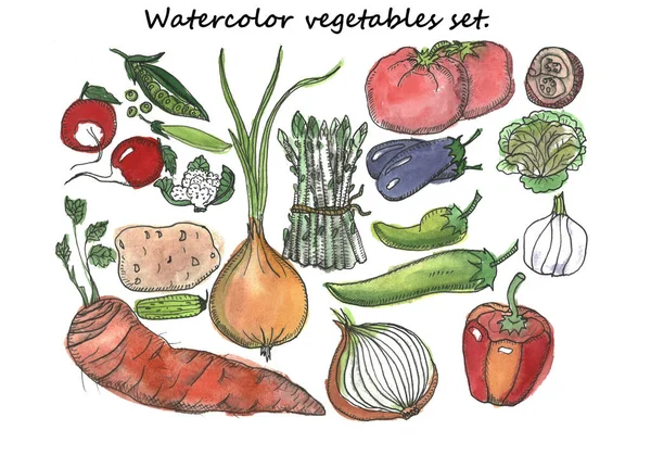 Hand Drawn watercolor vegetables set.