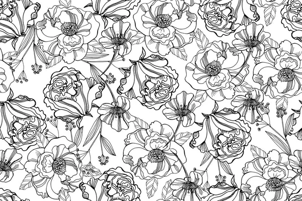 Modèle sans couture noir et blanc avec beau ranunculus et m — Image vectorielle