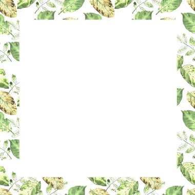 Suluboya botanik arka plan. Çerçeve. Çim, dal, yaprak.