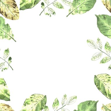 Suluboya botanik arka plan. Çerçeve. Çim, dal, yaprak.