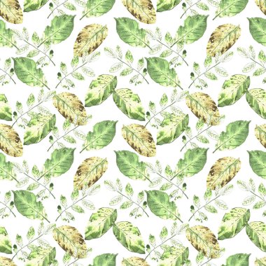 Sulu Boya Dikişsiz botanik desen. Yapraklar, dallar, çim. Doğal arka plan.