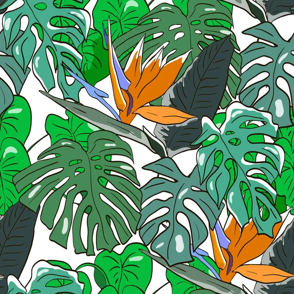Vektor nahtlosen tropischen Hintergrund mit Monstera-Blättern und tr — Stockvektor