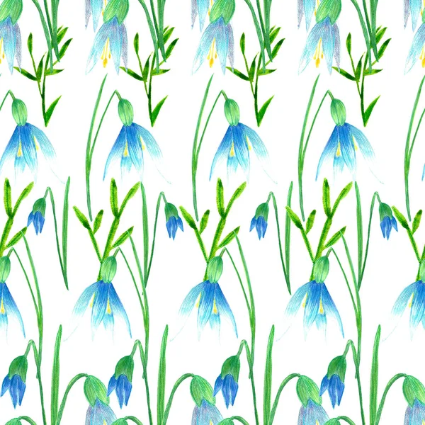 Handgemaltes Aquarell Floralen Hintergrund Frühling Nahtlose Muster Mit Krokus Primel — Stockfoto