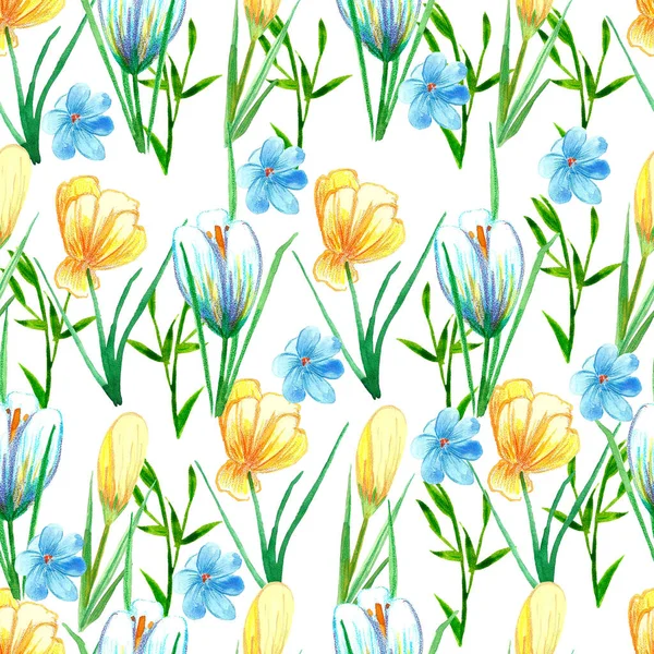 Hand painted watercolor floral background.   Spring seamless pattern with crocus, primrose, daffodils, snowdrops, dandelions, muscari, magnolia, buttercups, tulips.