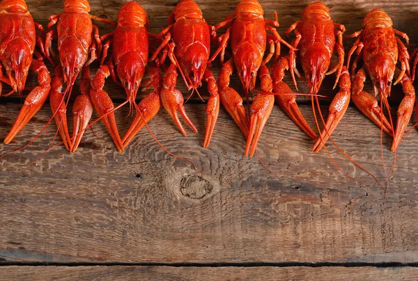 Fresh boiled crayfish with dill on a large plate — Stock Photo, Image